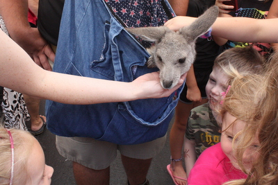 cbus-zoo